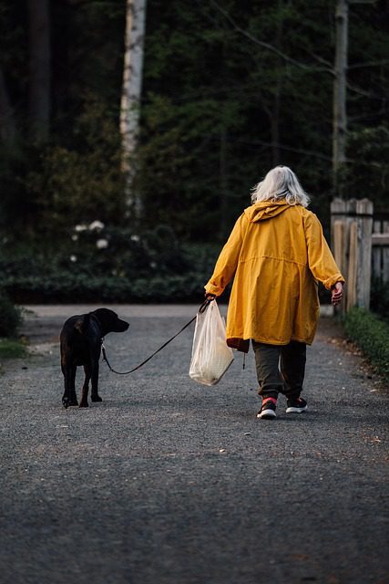 people, dog, woman, coat, walking, pet, walk, path, animal, back, yellow, jacket