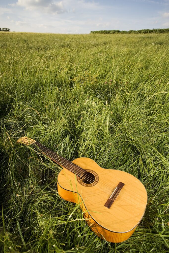 guitar, classical guitar, musical instrument-1911578.jpg