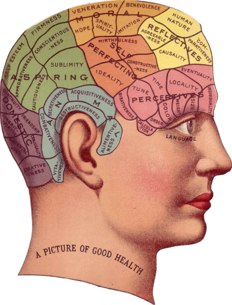 vintage, brain, advertisement-1418613.jpg