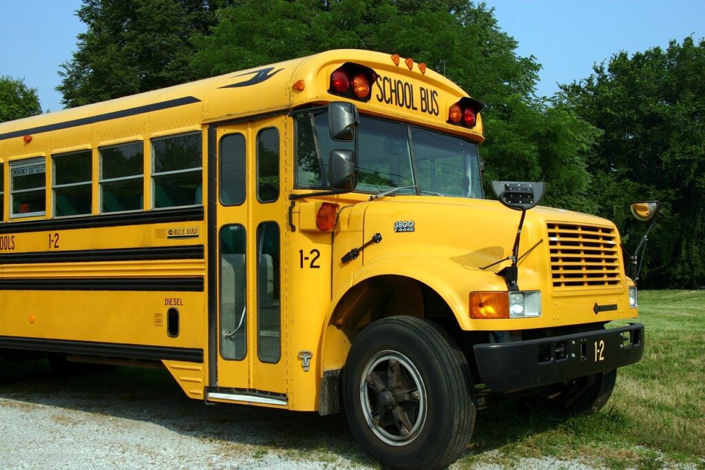 school bus, bus, vehicle-2645085.jpg