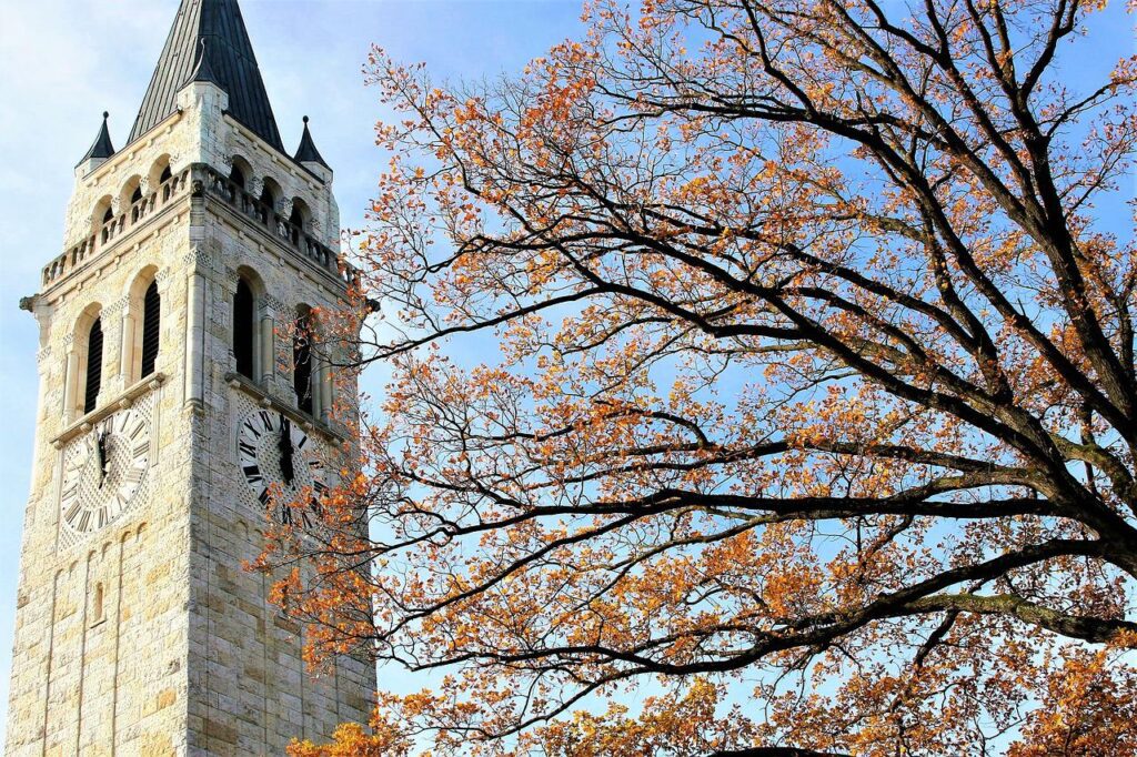 tree, sky, clock-2898647.jpg